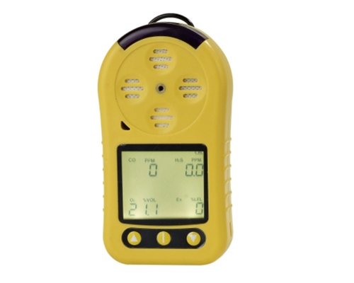 河南二合一气体检测报警仪检测